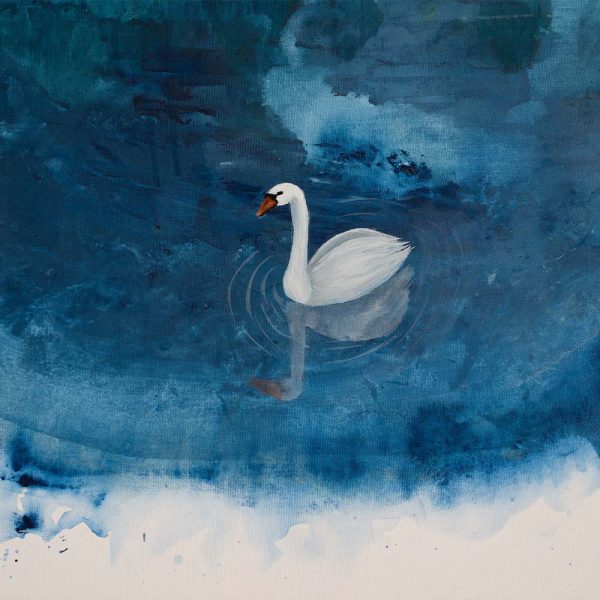 Poster Schwan Detailansicht